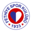 Fethiyespor